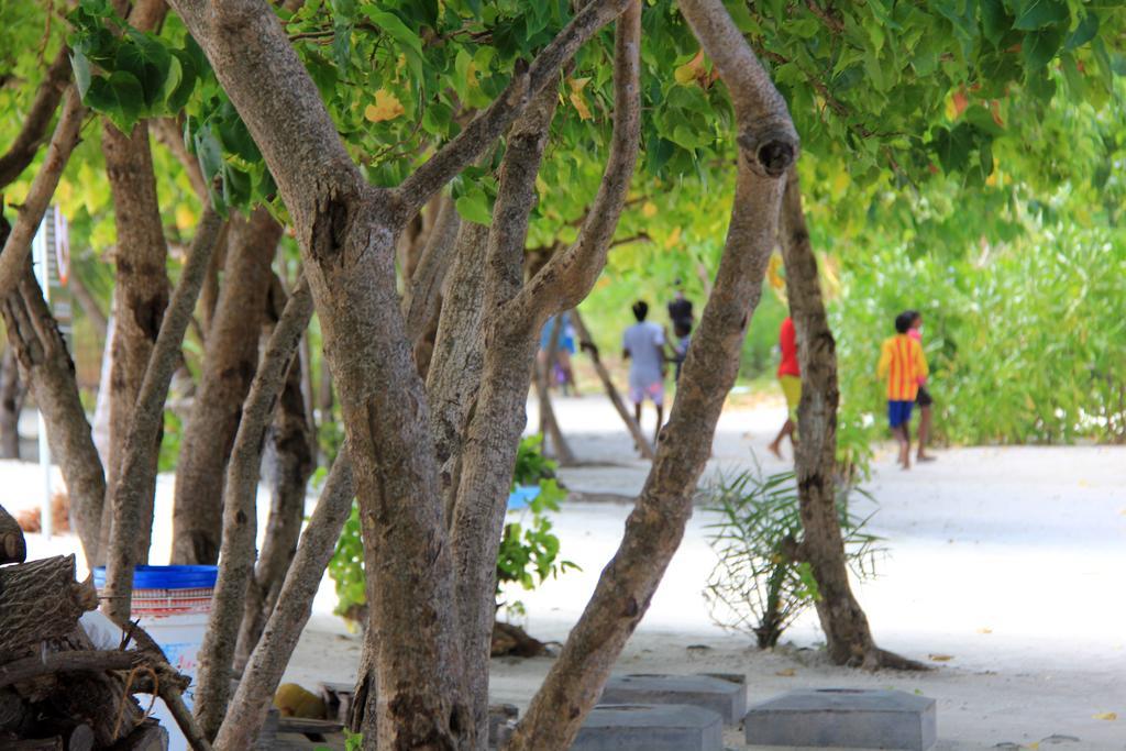 Rip Tide Vacation Inn, K.Guraidhoo Guraidhoo  Zewnętrze zdjęcie