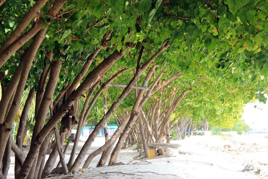 Rip Tide Vacation Inn, K.Guraidhoo Guraidhoo  Zewnętrze zdjęcie