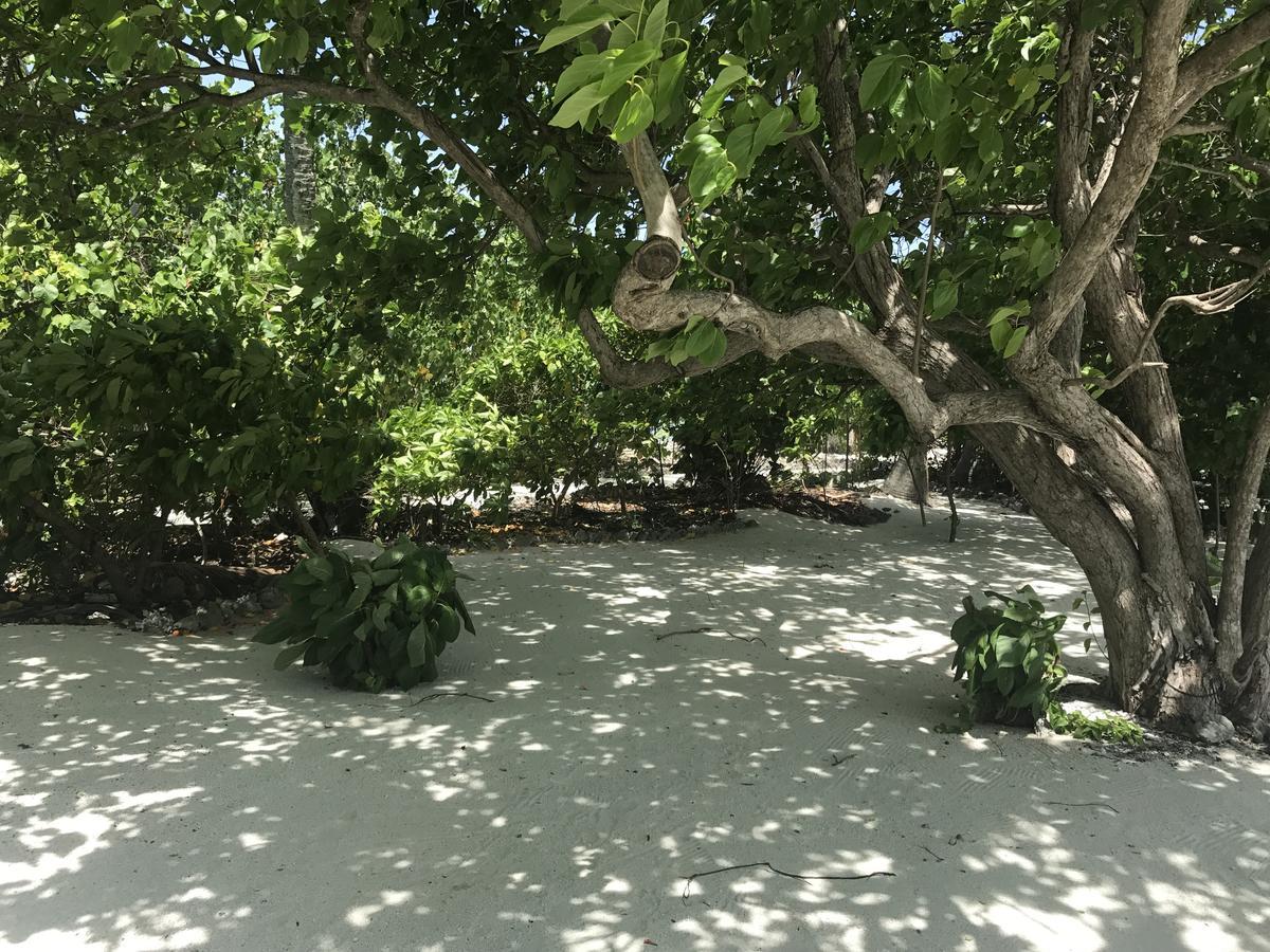 Rip Tide Vacation Inn, K.Guraidhoo Guraidhoo  Zewnętrze zdjęcie