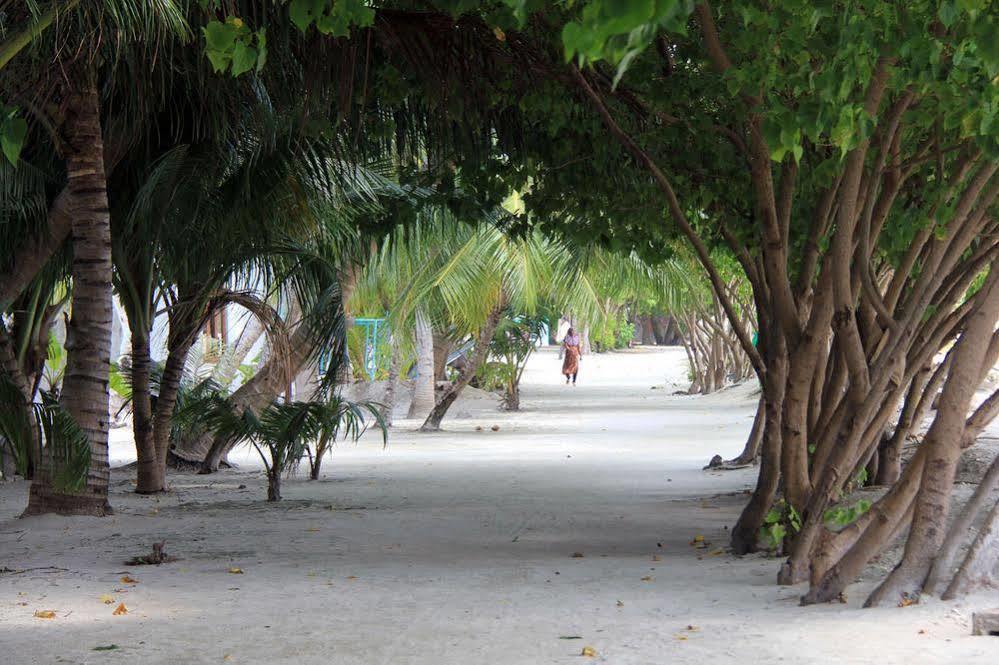 Rip Tide Vacation Inn, K.Guraidhoo Guraidhoo  Zewnętrze zdjęcie
